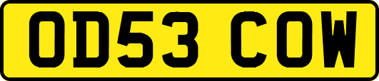 OD53COW