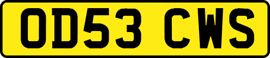 OD53CWS