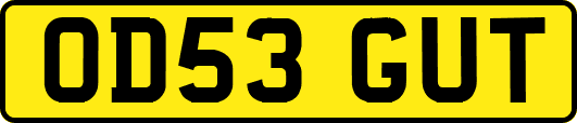 OD53GUT