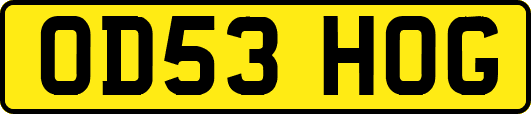 OD53HOG