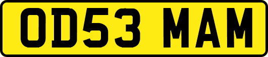 OD53MAM