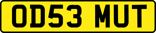 OD53MUT