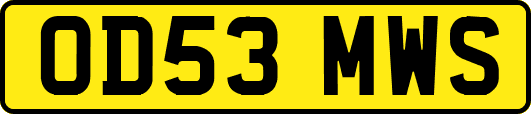 OD53MWS