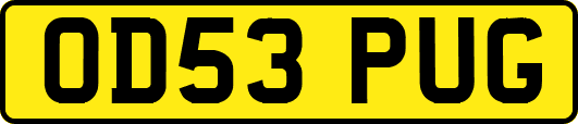 OD53PUG