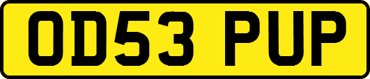 OD53PUP
