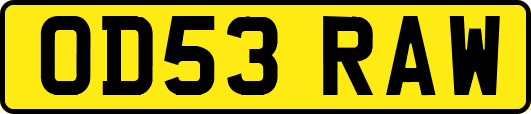 OD53RAW