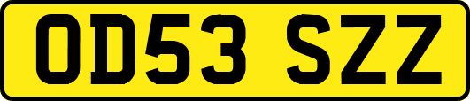 OD53SZZ