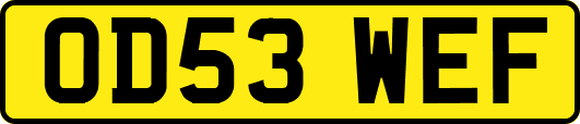 OD53WEF