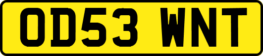 OD53WNT