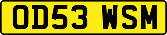 OD53WSM