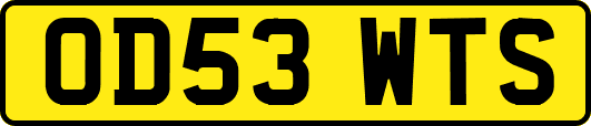 OD53WTS