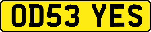 OD53YES