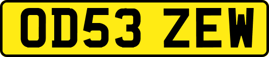 OD53ZEW