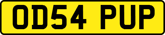 OD54PUP