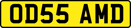 OD55AMD