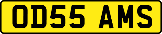 OD55AMS