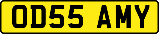 OD55AMY