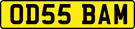 OD55BAM