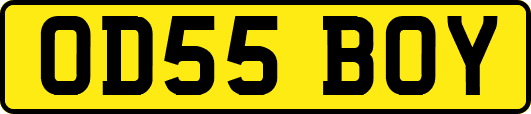 OD55BOY