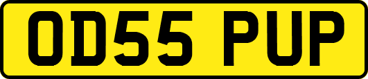 OD55PUP