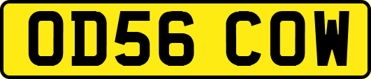 OD56COW
