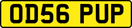 OD56PUP