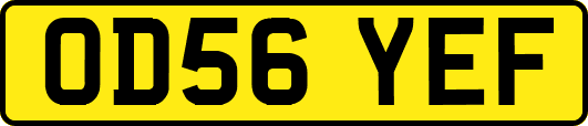 OD56YEF