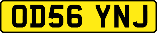 OD56YNJ