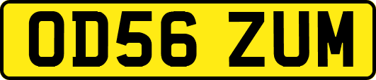 OD56ZUM