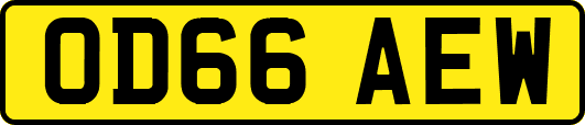 OD66AEW