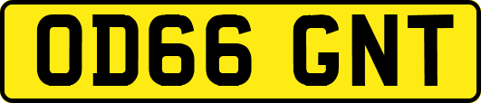OD66GNT