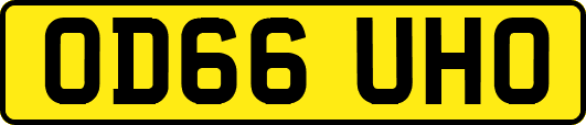 OD66UHO