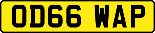 OD66WAP