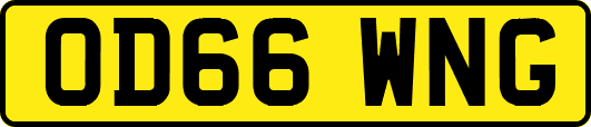 OD66WNG