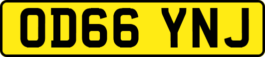 OD66YNJ