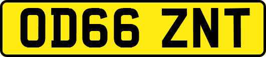 OD66ZNT