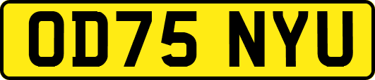 OD75NYU