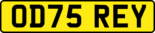 OD75REY