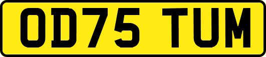 OD75TUM