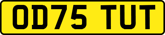OD75TUT