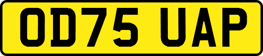 OD75UAP