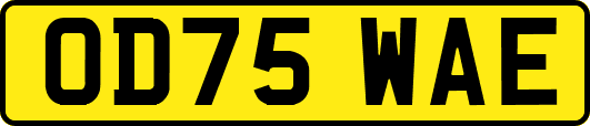 OD75WAE
