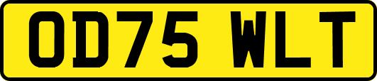 OD75WLT