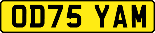 OD75YAM