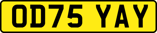 OD75YAY