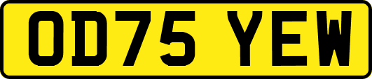 OD75YEW