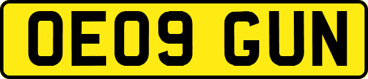 OE09GUN