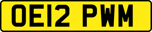 OE12PWM