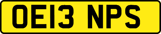 OE13NPS