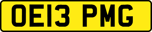 OE13PMG